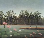 The Flamingos Henri Rousseau